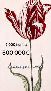 A tulip for over €500,000?