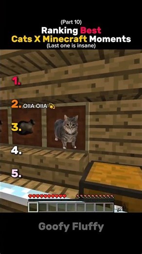Ranking Best Cats X Minecraft Moments 🔥 (Part 10) #cat #funny #ranking #shorts