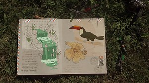 Last but not least: our first in-house animation! We're proud to close this animation tour with the #TVPaintStudio and @Leo_fernandez26 🥳 Travel the world with #TVPaintAnimation12, available here 👉 www.tvpaint.com #TVPaintcommunity #TVPaint #animationsoftware #2D #2Danimation #TVPaint12isout #traditionalanimation #framebyframe #release #artist #art #TVPaintStudio #travel #baleinefrancheaustrale | TVPaint Développement