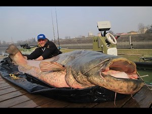 Vertikal Fischen Teil 2 / Taktik / Echolot-Einstellung / Big One