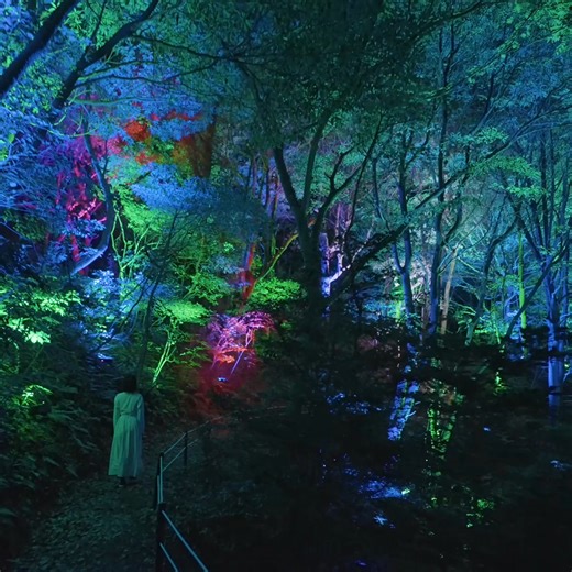 On view at “teamLab: Hidden Traces of Rice Terraces” Izura, Ibaraki Permanent https://www.teamlab.art/e/izura/ ・ “Resonating Secret Valley and Forest” When people or animals pass close to the trees, the trees shine brightly and produce a tone. That light and tone then spreads out continuously, one by one, to the surrounding trees. If a wave of light comes from afar, it signifies the presence of people or animals there. Perhaps, people gain a heightened sense of awareness of the existence of othe