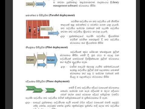 WP-2022-3rd Term-G11-Essay 5 -2 a, b, c