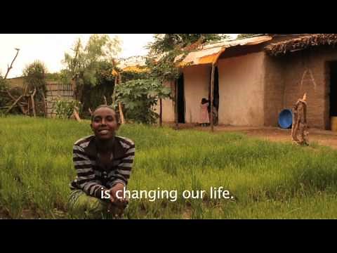 Making a living from small-plot farming in Kentery village, Ethiopia - Oxfam America