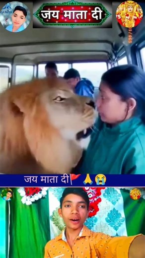 शेर से आखिरी पल में बच व्यक्ति!”😭#ytshorts #vrialshort #shorts #mata #di @sudesh shakya21