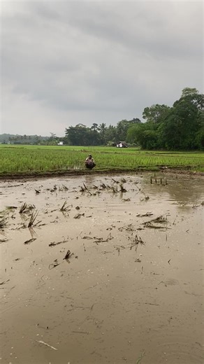 Traktor Remote Control: Elektronik Kreatif Untuk Semua