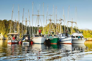 All Hands on Deck | Alaska Seafood Marketing Institute