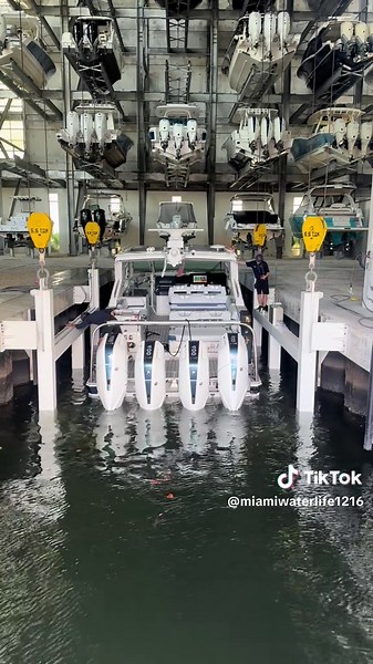 Exploring the Thrill of Salt Life and Power Boats