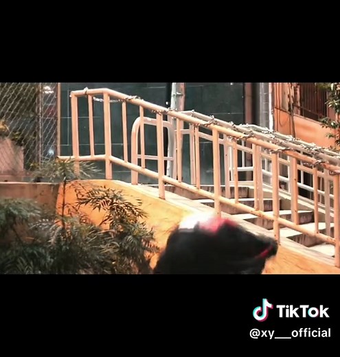 XY -バンド- 遂に始動。Vocal #KARMA, GAI、Guitar KAIRI、Bass FURUTATSU、Drums KYOHEY