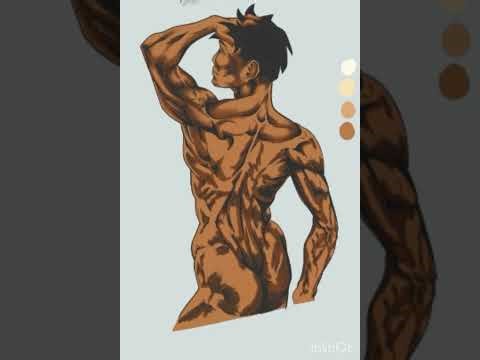 Coloring Muscle Anatomy (w/o sound)