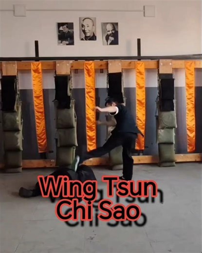 Wing Tsun In Action | Chi Sao Close Combat