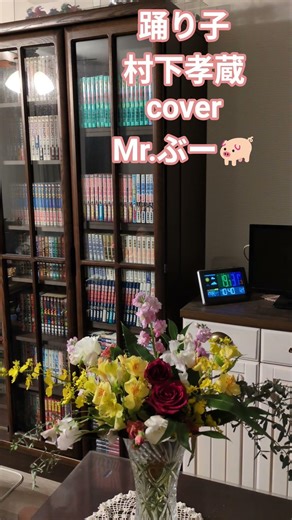 #踊り子#村下孝蔵＃coverMr.ぶー🐖