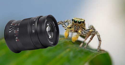 A Review of the 7Artisans 60mm f/2.8 Mark II Macro Lens