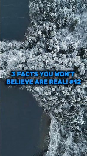 3 Facts You Won't Believe Are Real! #12 #shorts #factsyoudontknow