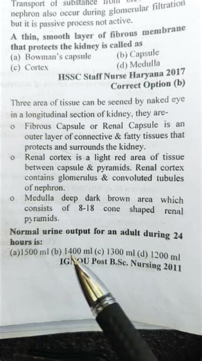 Normal urine output