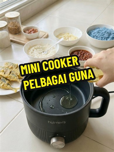 Versatile Mini Cooker for Every Kitchen
