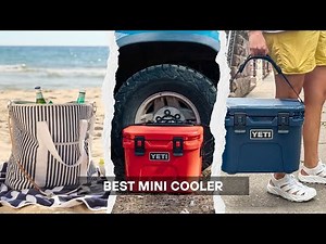 5 Best Mini Cooler 2025! For Travel and Everyday