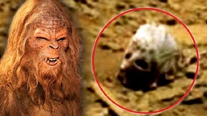 Alien: des chasseurs d'extraterrestre découvrent le crâne d'un Yeti sur Mars !