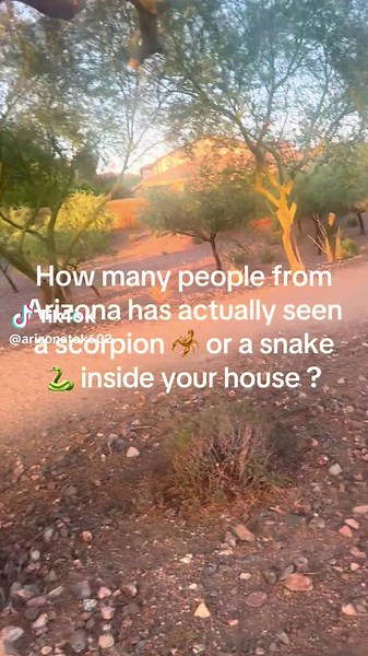 arizonatok602 on TikTok