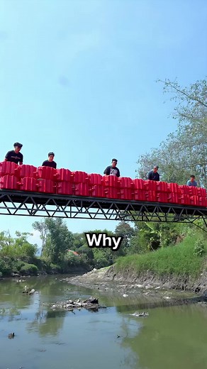 How These Plastic Boxes Prevent Pollution | plastic case