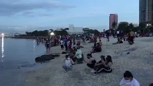 361K views · 10K reactions | Families spend quality time at the Manila Dolomite Beach on Saturday morning. The man-made beach could accommodate 300 to 500 people at a time, according to the Department of Environment and Natural Resources, which manages the site. | Video by Miguel de Guzman/The Philippine Star RELATED: https://bit.ly/3nndd6z | Philippine Star | Facebook