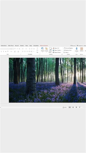 Amazing way to upgrade your presentations! #powerpoint #tutorial #powerpointpresentation | PowerPointskills