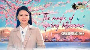 123K views · 1.5K reactions | What could be more relaxing than taking a moment to feel the vibe of spring among the waves of these white and pink blossoms? In Asian countries, flowers are widely celebrated through cultural symbols. In the Chinese culture, peach blossoms are more than just a sign of spring. In this episode of Mastering Chinese Poetry, we go over a classic story by Tang Dynasty poet Cui Hu: "Written in A Village South of the Capital." | CGTN | Facebook