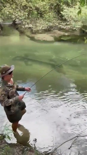 Sight Fishing For Trout With an Adams Irresistible Dry Fly