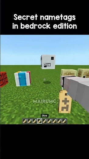 Secret nametags in bedrock edition