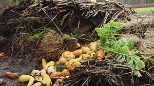 Take a trip to the Cascadian Farm home farm along the Magic Skagit River of Washington state. Learn why how we grow food matters and how it is connected to people and the planet – from using farming practices that mimic nature, planting cover crops that nourish the soil, growing our local community, and pioneering with innovative ingredients like the perennial grain Kernza. | Cascadian Farm