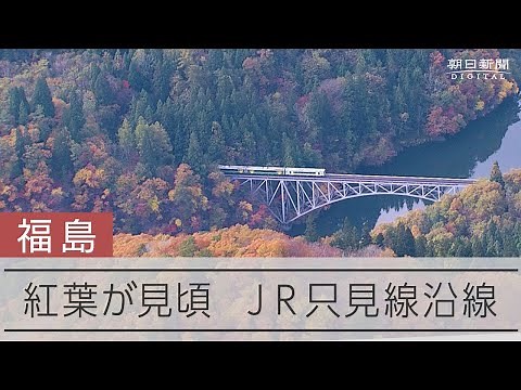 JR只見線の紅葉が見頃 赤や黄色に色づく山