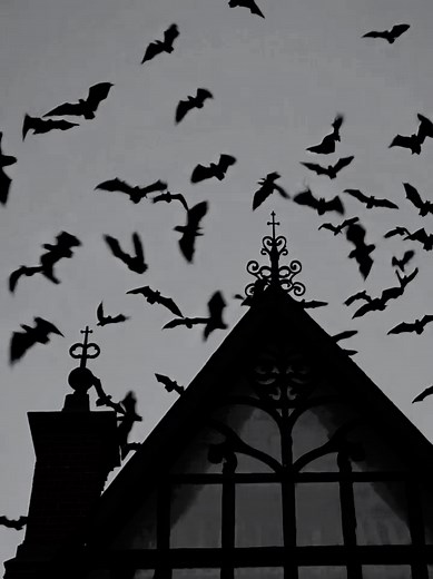 Bats: 30 Creepy Sounds for Halloween