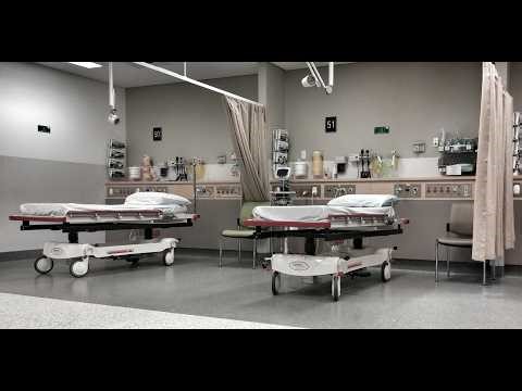 Simon Parkes: Do medical beds and frequency devices extend our lives?