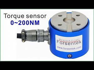 Flange-to-Flange Torque Sensor 0-200NM Non-rotating Torque Measurement