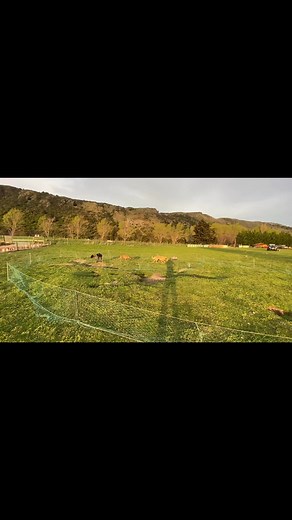Cheeky one handed neck break 😂 | Jim’s Bunny Hunters Ltd