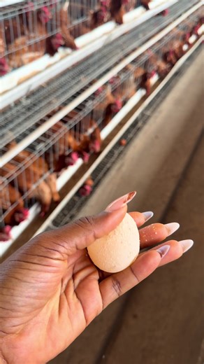 Unexpected Causes on the Farm