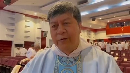 The Varsitarian on Instagram: "FILIPINO DOMINICANS AS PREACHERS OF HOPE WATCH: Fr. Filemon dela Cruz, Jr., O.P., prior provincial of the Dominican Province of the Philippines (DPP) says Filipino Dominicans live out their mission to preach hope through international and local collaboration and expansion. Dela Cruz also says the Philippine province aims at strengthening their promotion of vocation not just in recruitment but also taking care of its members. The prior provincial led a Mass for the