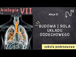 Biologia 7 [Lekcja 21 - Budowa i rola układu oddechowego]
