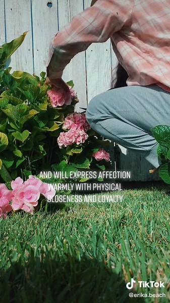 Understanding Venus in Taurus: Love, Sensuality, and Loyalty Explained