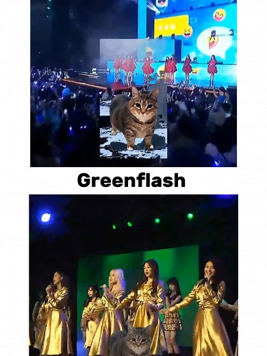 JKT48 Green Flash & Heavy Rotation Performances