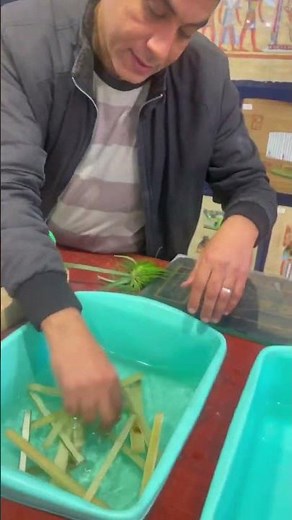 How To Make Paper From Papyrus