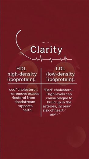 ‘Good’ cholesterol (HDL) vs. ‘Bad’ cholesterol (LDL). What is the difference and why does it matter?
