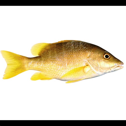 26K views · 137 reactions | #photoshopindonesia #photoshoptutorial #photoshoper #photoshopcc #photoshopartwork #photoshopwork #photoshopexpress #photoshop_cc #photoshoperid #myphotoshop #photoshopart #intags #photoshopedit #photoshopped #photoshoppainting #photoshopmanipulation #photoshop_art #photoshopcs6 #photoshop #nophotoshop #photoshopillustration #photoshop_creative #notphotoshopped #photoshopedits #adobephotoshop #photoshopartist | Photoshop tips and tricks | Facebook