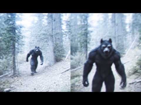 DOGMAN Isn't a Myth Anymore — The Evidence No One Wants to Talk About (Or is Hidden)