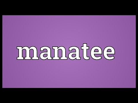 Manatee Meaning