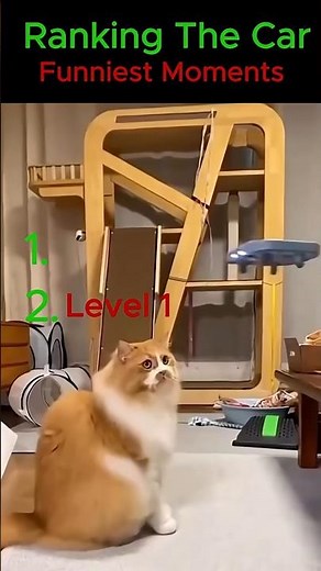 😂 Funniest Cat Moments That Will Make You Laugh! 🐱🤣