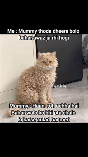 Gyyani Baby on Instagram: "Ab kya hi bolun #memes #trending #explorepage #reelkarofeelkaro #cat viral (grumpy cat, lil bub, marshmallow the cat, keyboard cat, colony cat rescue, trending, viral, relatable daily relatable reelitfeelit instagramreels catmemes, cat funny video, funny memes"