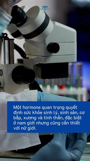 Xét nghiệm Testosterone Profile - Phòng Khám Medic Sài Gòn
