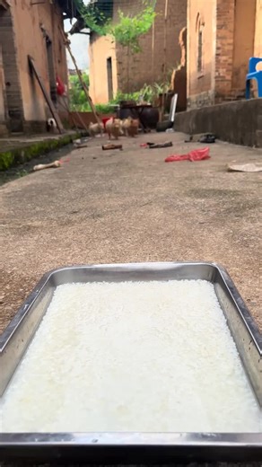 CrunchyPaws sur TikTok