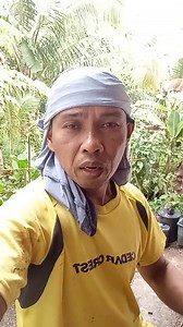 Kanang Aliwati, ug Ok-Ok ug Tayangaw. Hugaw kana gibuhat sa Dios, Dili na ipakaon sa Dios. #jesus #follower #StarsEverywhere #hightlight @highlight Aimie Cuenza | Rodulfo Jr Kilem Sereña