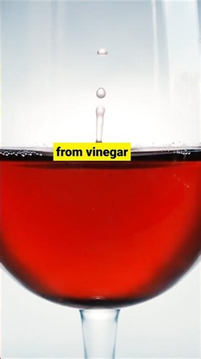 The Chemical Upgrade That Made Mustard a Luxury 🍷✨